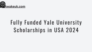 Fully Funded Yale University Scholarships in USA