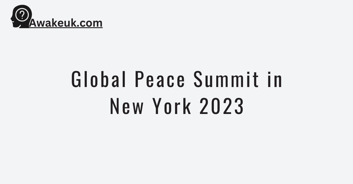 Global Peace Summit in New York 2023 Fully Funded