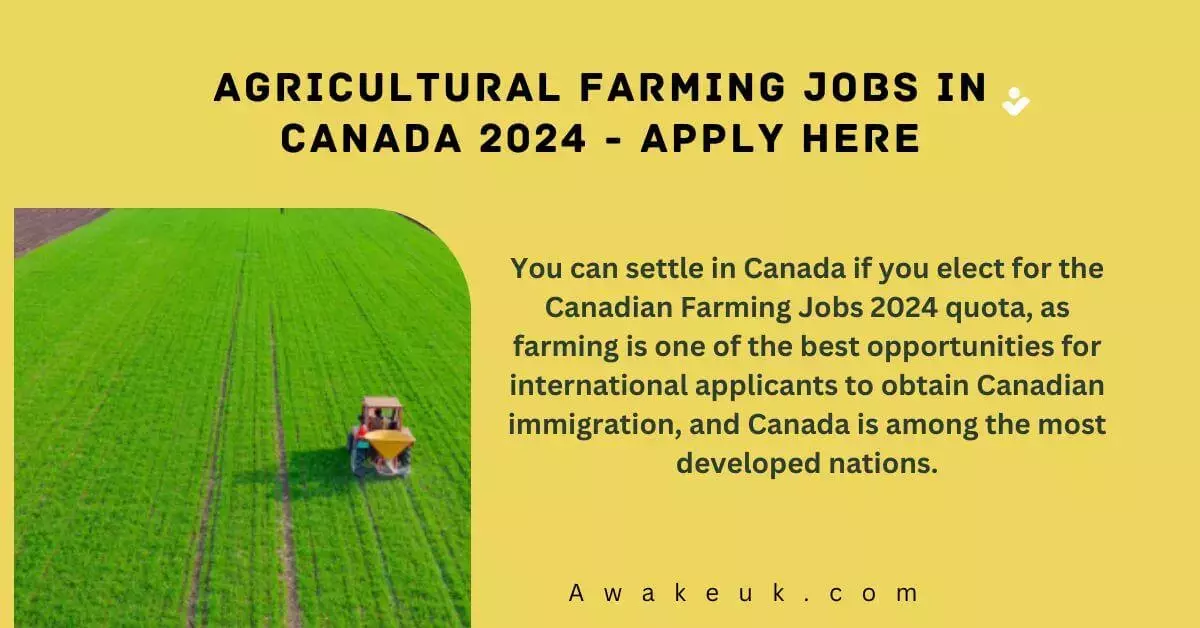 Agricultural Farming Jobs In Canada 2024 Apply Here   Agricultural Farming Jobs In Canada.webp