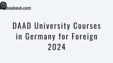 DAAD University Courses in Germany for Foreign 2024
