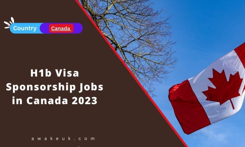 us-h1b-sponsorship-companies-2023-h-1b-employer-data-hub