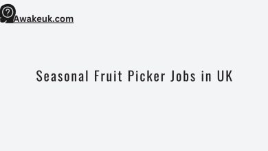Seasonal Fruit Picker Jobs in UK