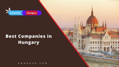 Best Companies in Hungary