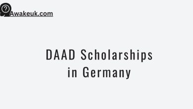 DAAD Scholarships in Germany