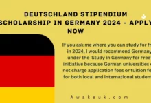 Deutschland Stipendium Scholarship in Germany