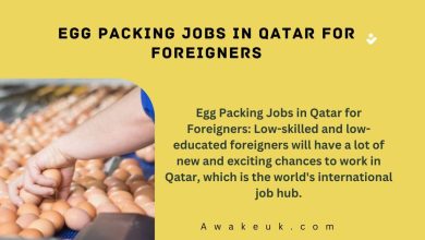 Egg Packing Jobs in Qatar for Foreigners