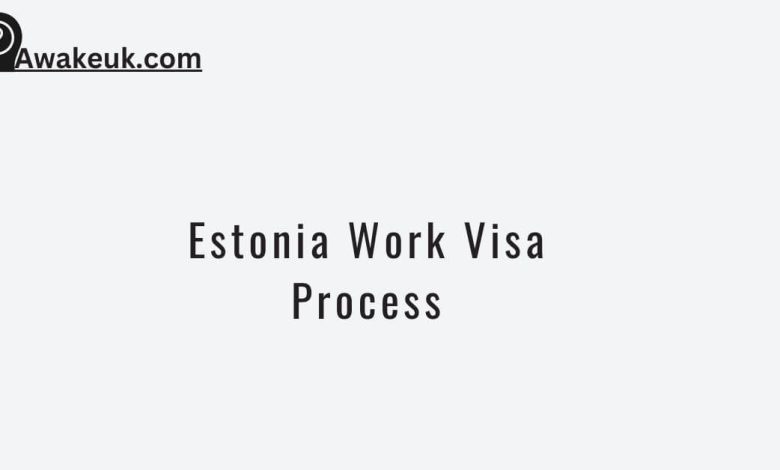 Estonia Work Visa Process