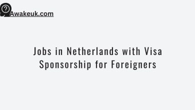 Jobs in Netherlands with Visa Sponsorship for Foreigners