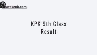 KPK 9th Class Result