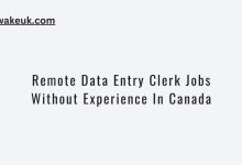 Remote Data Entry Clerk Jobs Without Experience In Canada