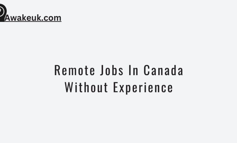 Remote Jobs In Canada Without Experience