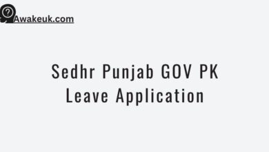 Sedhr Punjab GOV PK Leave Application