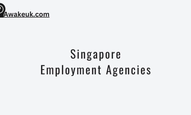 Singapore Employment Agencies