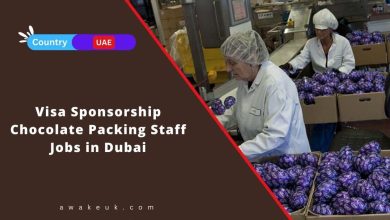 Visa Sponsorship Chocolate Packing Staff Jobs in Dubai