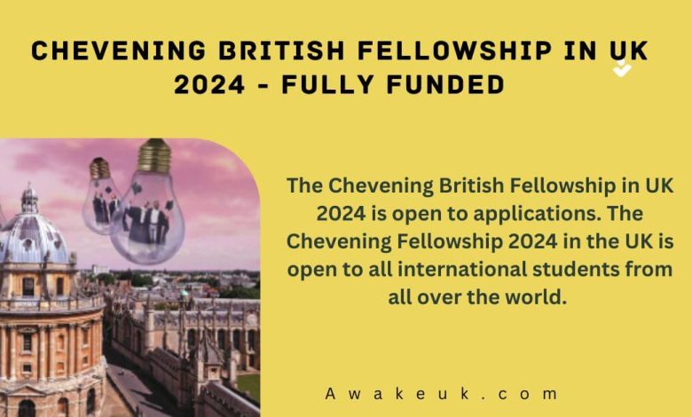 Chevening British Fellowship in UK