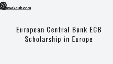 European Central Bank ECB Scholarship in Europe