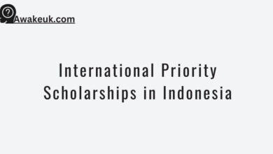 International Priority Scholarships in Indonesia