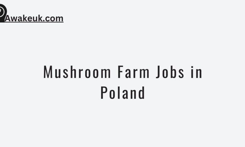 Mushroom Farm Jobs in Poland