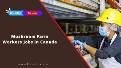 Mushroom Farm Workers Jobs in Canada