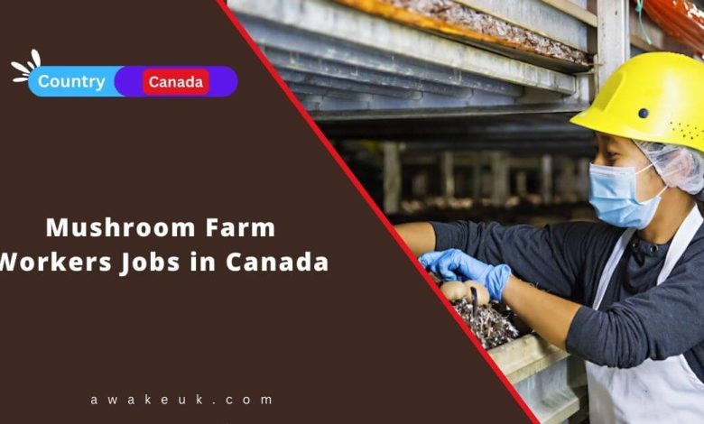 Mushroom Farm Workers Jobs in Canada