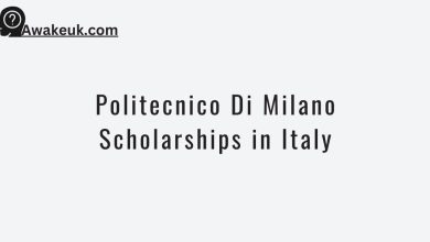 Politecnico Di Milano Scholarships in Italy