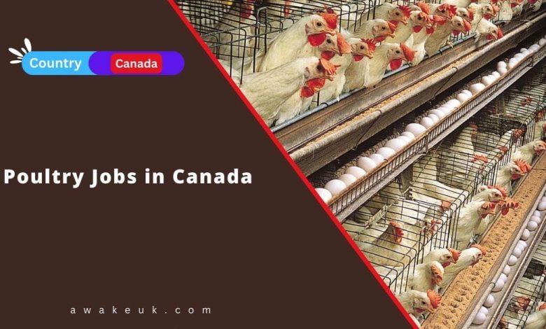 Poultry Jobs in Canada