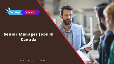 Senior Manager Jobs In Canada