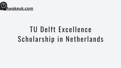 TU Delft Excellence Scholarship in Netherlands