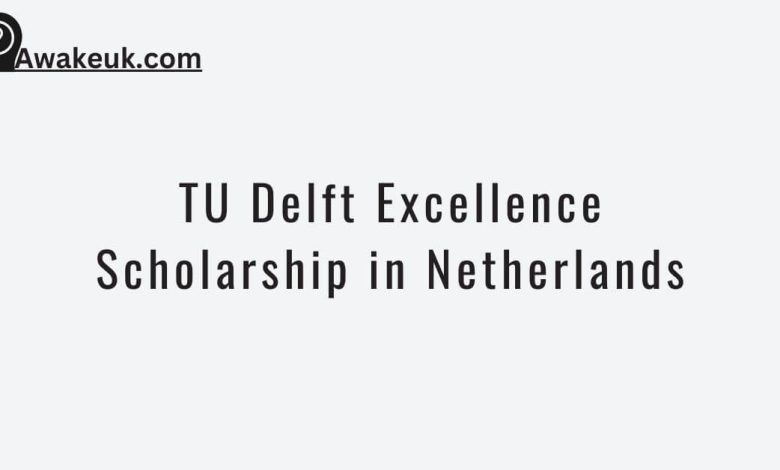 TU Delft Excellence Scholarship in Netherlands