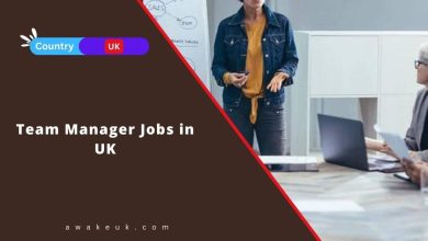 Team Manager Jobs in UK