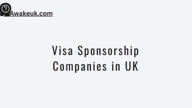 Visa Sponsorship Companies in UK