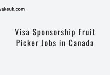 Visa Sponsorship Fruit Picker Jobs in Canada
