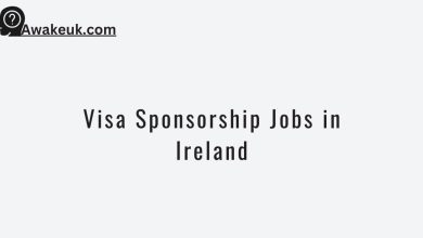 Visa Sponsorship Jobs in Ireland