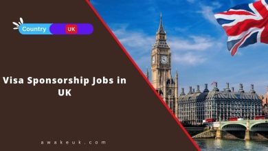 Visa Sponsorship Jobs in UK