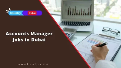 Accounts Manager Jobs in Dubai