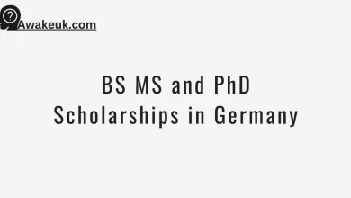 BS MS and PhD Scholarships in Germany