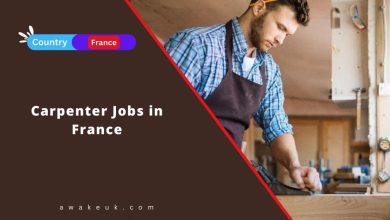 Carpenter Jobs in France