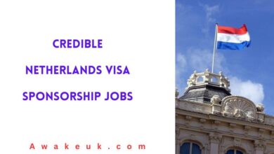 Credible Netherlands Visa Sponsorship Jobs