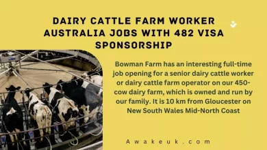 Dairy Cattle Farm Worker Australia Jobs with 482 Visa Sponsorship