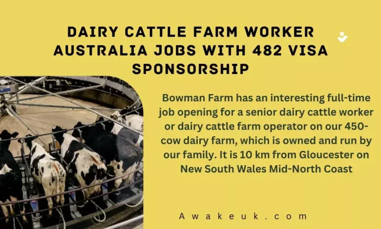 Dairy Cattle Farm Worker Australia Jobs with 482 Visa Sponsorship