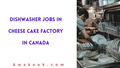 Dishwasher Jobs in Cheese Cake Factory in Canada