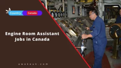 Engine Room Assistant Jobs in Canada