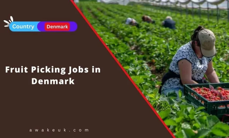 Fruit Picking Jobs in Denmark