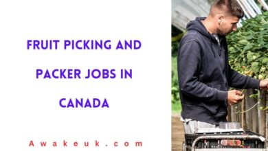 Fruit Picking and Packer Jobs in Canada