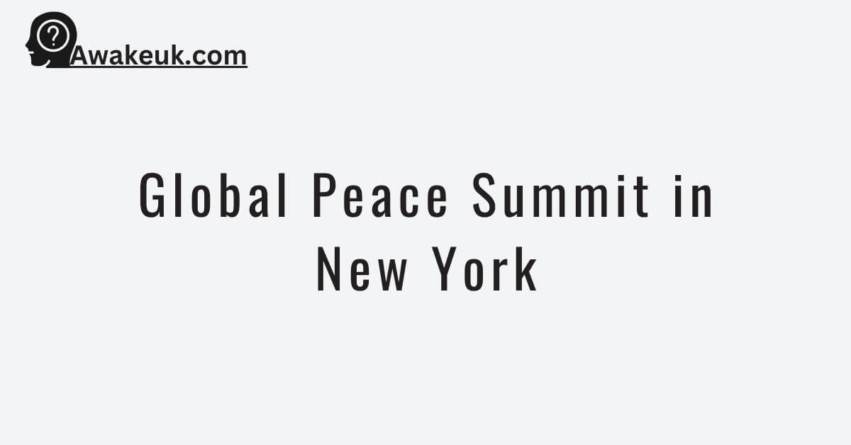 Global Peace Summit in New York 2024 Fully Funded