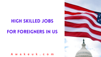 High skilled Jobs For Foreigners In US