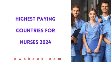 Highest Paying Countries for Nurses 2024