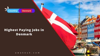 Highest Paying Jobs in Denmark