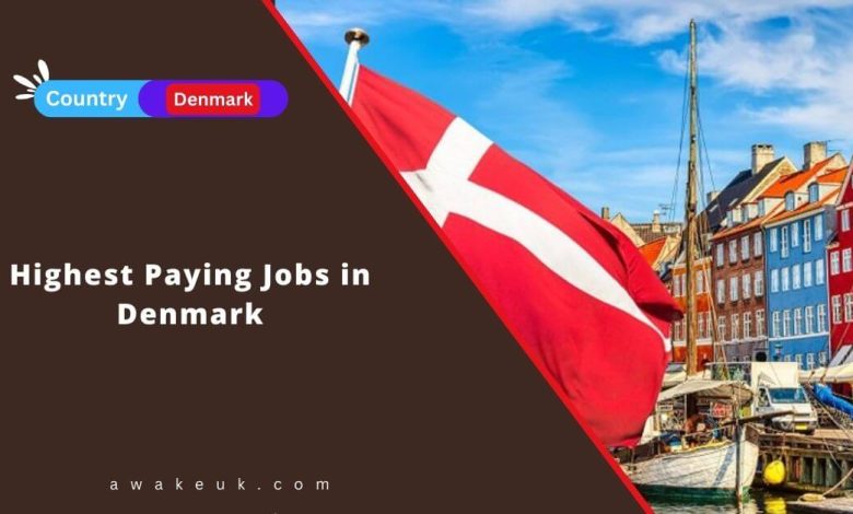 Highest Paying Jobs in Denmark