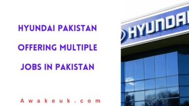 Hyundai Pakistan Offering Multiple Jobs in Pakistan